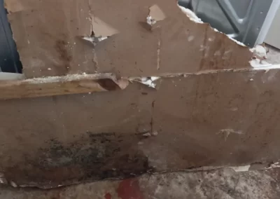Drywall Company